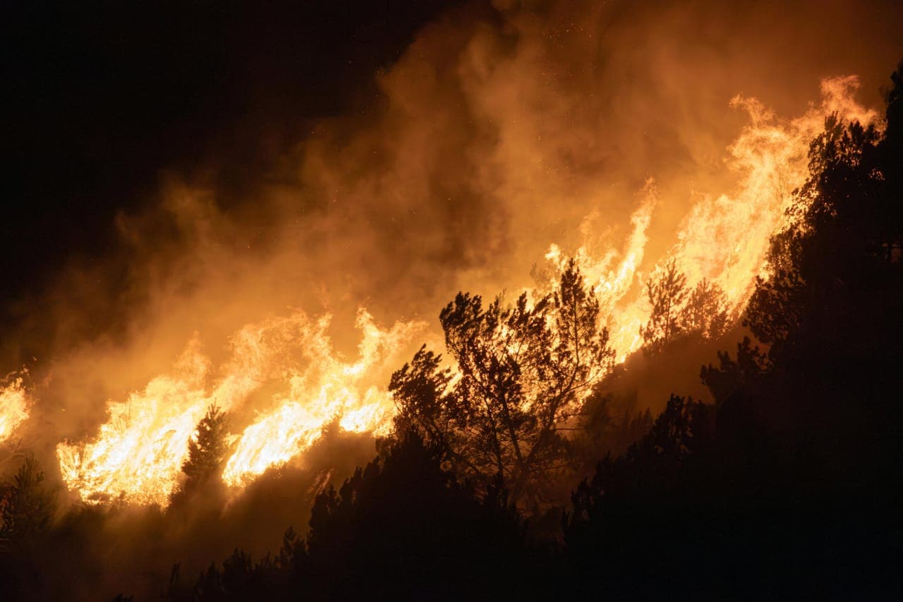 Landscape showing wildfire exposure